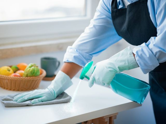 Professional Maid Services in Alexandria VA