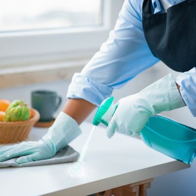 Professional Maid Services in Alexandria VA