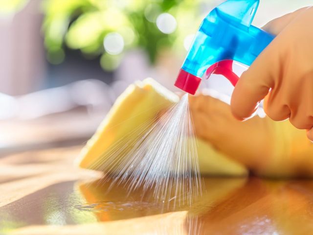 Legally Compliant House Cleaning Services in Alexandria, VA